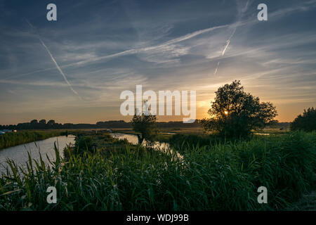 Paysage de la campagne près de Gouda, Pays-Bas avec ses nombreux canaux et arbres Banque D'Images
