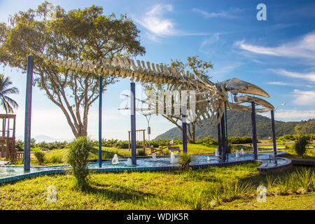 Squelette de baleine à bosse à Itaguá exposés Plage, Côte Nord, São Sebastião, São Paulo, Brésil Banque D'Images