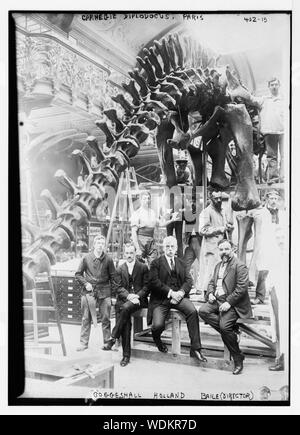 Goggeshall, Hollande, Baile (directeur), Carnegie Diplodocus, Paris Abstract/moyenne : 1 négative : 5 x 7 in. ou moins. Banque D'Images