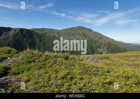 Mont Adams le long de la piste de six Maris à Thompson et d'achat de Meserve, New Hampshire pendant les mois d'été ; une partie de l'élection présidentielle s'est Banque D'Images