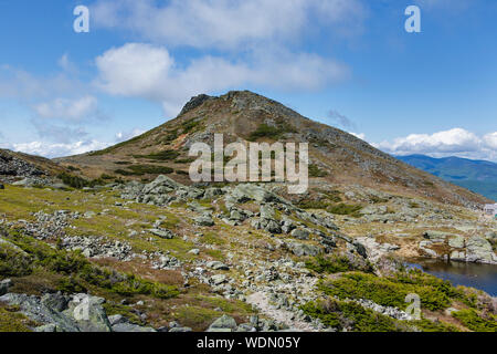 Mont Monroe de le long du chemin Crawford (Sentier des Appalaches), près des lacs de l'nuages, dans Sargent's achat dans les Montagnes Blanches du New Hampshire Banque D'Images