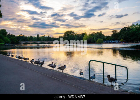 Vue panoramique sur le lac central à l'intérieur du parc principal dans la région de Notting Hill Gate, avec le ciel au coucher du soleil reflétée dans l'eau, Londres - Angleterre Banque D'Images