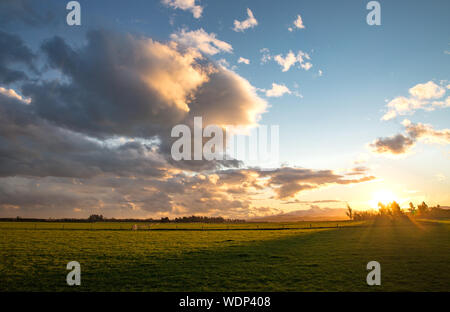 La vue le long d'une route rurale Canterbury sur les terres agricoles au coucher du soleil, Nouvelle-Zélande Banque D'Images