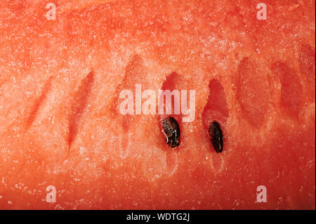 Fruits pastèque texture background close up view Banque D'Images