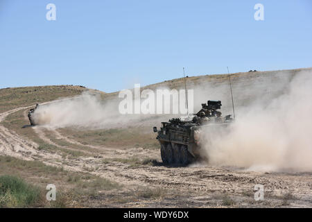 Stryker de l'armée américaine de véhicules de la 56e brigade Stryker, New Jersey Army National Guard, chef de leur avant-poste le 12 août 2019, au cours d'un exercice d'entraînement de combat à l'établissement de formation de combat verger près de Boise, Idaho. (U.S. Air National Guard photo : Capt Susan/Penning) Parution Banque D'Images