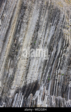 Formation rocheuse spectaculaire flysch dans la mer Cantabrique Zumaia, l'Euskadi. Espagne Banque D'Images