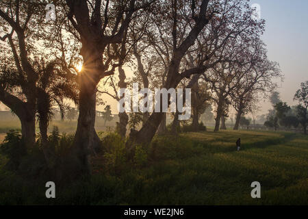 Paysage Banque D'Images