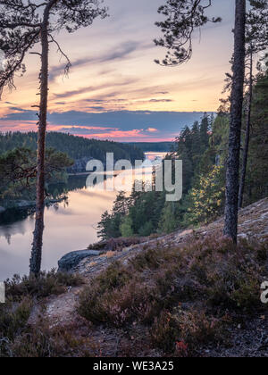 Paysage de forêt pittoresque et idyllique de l'humeur avec tarnquil coucher de soleil au soir d'été en Finlande Banque D'Images