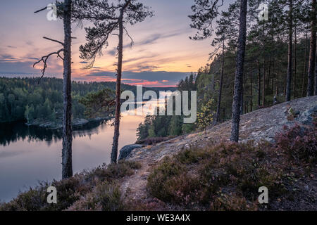 Paysage de forêt pittoresque et idyllique de l'humeur avec tarnquil coucher de soleil au soir d'été en Finlande Banque D'Images