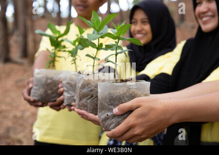 Les jeunes asiatiques de bénévoles transportant de nouveaux arbres dans parc Banque D'Images