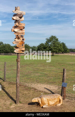 Mouton en bois et d'un poteau avec des signes de flèche près de ermelo bergerie Banque D'Images