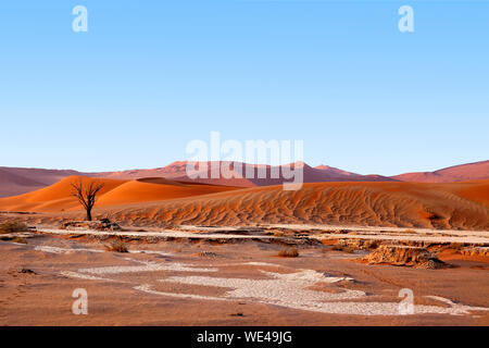 Paysage désertique avec dunes de sable orange et un mort arbre sec sur fond de ciel bleu vif, Naukluft National Park Le désert de Namib, Namibie Banque D'Images