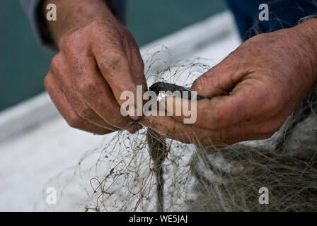 Fisherman's main dans un filet de pêche de près Banque D'Images