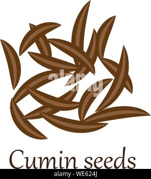 Les graines de cumin vector illustration sur fond blanc Illustration de Vecteur