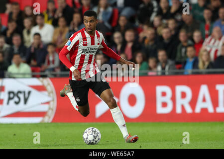 15 août 2019 Eindhoven, pays-Bas Soccer UEFA Europa League PSV v Haugesund 15-08-2019: Voetbal: PSV v Haugesund: Eindhoven L-R: Cody Gakpo de PSV Eindhoven Banque D'Images