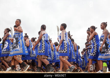 Mbabane, Swaziland - 31 août 2017 : Cérémonie d'Umhlanga Reed Dance rite traditionnel les jeunes filles vierges avec grands couteaux machette pour couper le champ reed Banque D'Images