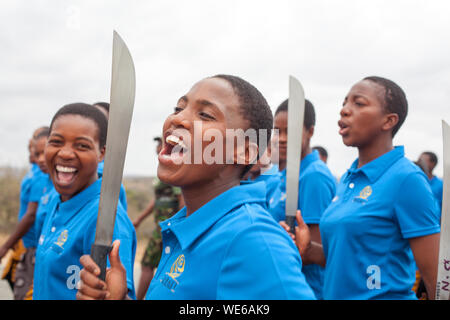 Mbabane, Swaziland - 31 août 2017 : Cérémonie d'Umhlanga Reed Dance rite traditionnel les jeunes filles vierges avec grands couteaux machette pour couper le champ reed Banque D'Images