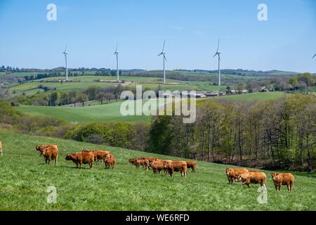 La France, l'Aveyron, éolienne, Levezou plateau près de Pont de Salars Banque D'Images