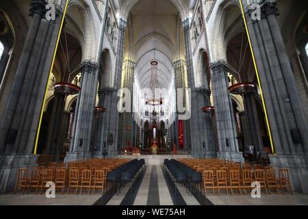 France, Nord, Lille, de l'intérieur de Notre Dame de la cathédrale de Lille Banque D'Images