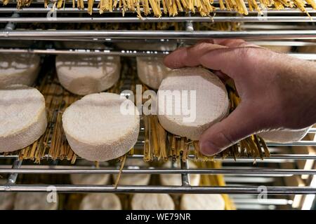 France, Pyrénées Atlantiques, Pays Basque, Saint Jean de Luz, le marché couvert, fromage Beñat, fournisseur de chefs étoilés Banque D'Images