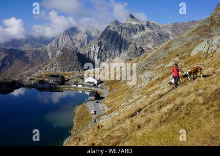 La Suisse, Canton du Valais, Col du Grand Saint Bernard, passage au lac Banque D'Images