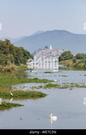 Le Mexique, l'état de Michoacan, Patzcuaro, pélicans blancs sur l'île de Janitzio et lac Patzcuaro Banque D'Images