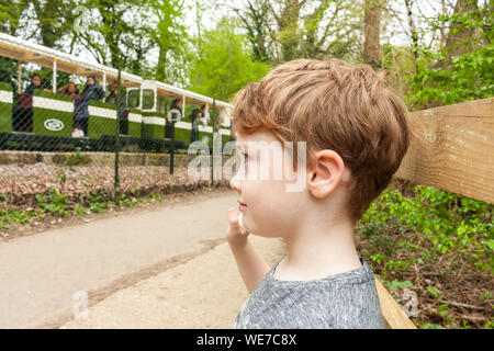 Un jeune garçon vagues comme le mini-railway va passé à Ruislip Lido, Grand Londres Banque D'Images