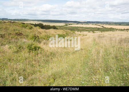 Vue sur le paysage à Martin chalk downland Réserve naturelle nationale vers le bas en été avec des fleurs sauvages, Hampshire, Royaume-Uni Banque D'Images