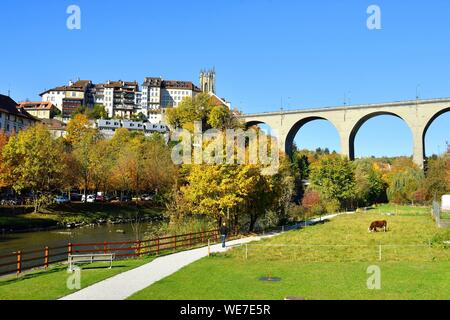 La Suisse, Canton de Fribourg, Fribourg, Sarine (rivière Saane) banques, Pont de Zaehringen Banque D'Images