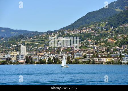 Suisse, Canton de Vaud, Lac Léman, Montreux, Genève rives du lac Banque D'Images