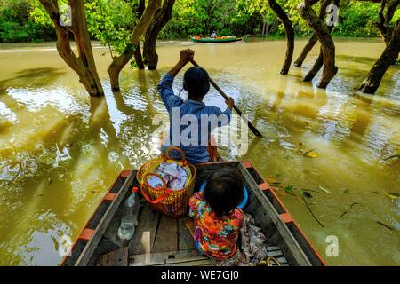 Le Cambodge, Kompong Phluc Phluc ou Kampong, près de Siem Reap, chaloupe dans la forêt inondée sur les rives du lac Tonlé Sap Banque D'Images