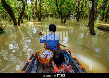 Le Cambodge, Kompong Phluc Phluc ou Kampong, près de Siem Reap, chaloupe dans la forêt inondée sur les rives du lac Tonlé Sap Banque D'Images