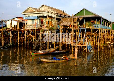 Le Cambodge, Kompong Phluc Phluc ou Kampong, près de Siem Reap, maison sur pilotis village, forêt inondée sur les rives du lac Tonlé Sap Banque D'Images