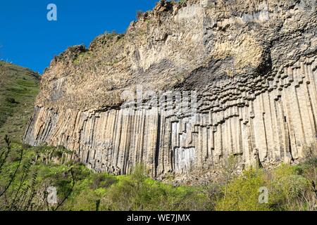 L'Arménie, de la région de Kotayk, Garni, basalte formations colonne le long de la vallée de la rivière Azat appelé Symphonie des pierres Banque D'Images