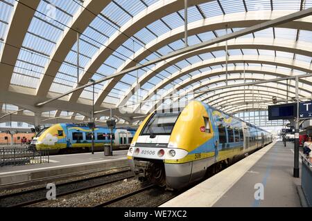 France, Marne, Reims, la gare, train jaune et bleu train stationné le long des quais Banque D'Images