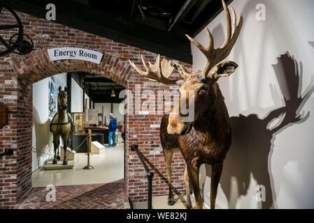 United States, Maine, Owls Head, Owls Head Transportation Museum, l'orignal en peluche Banque D'Images