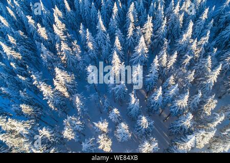 La France, Bas Rhin, Hautes Vosges, Belmont, Champ du Feu (1099 m), sommet en hiver (vue aérienne) Banque D'Images