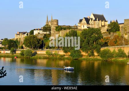 France, Maine et Loire, Angers, Maine rives, le château des ducs d'Anjou et de la cathédrale Saint Maurice en arrière-plan Banque D'Images