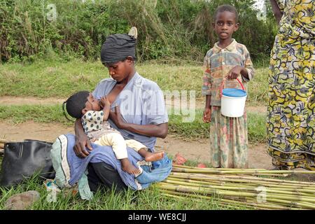 Le Burundi, réserve naturelle de Rusizi, collecte de bois par des femmes, l'alimentation Banque D'Images