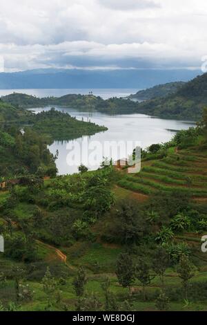 Le Rwanda, le lac Kivu, Green Hills sur une rive du lac Kivu, à la frontière avec la République démocratique du Congo Banque D'Images