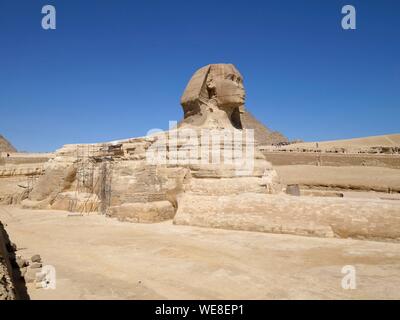 Egypte, Le Caire, Gizeh, UNESCO World Heritage Site, pyramides de Gizeh, Le Sphinx devant la pyramide de Khéops Banque D'Images