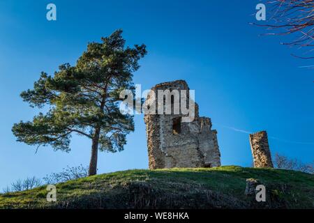 France, Yvelines (78), Montfort-l'Amaury, château fort construit au 12ème siècle Banque D'Images