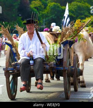 La France, Finistère, Chariot et attelage de bœufs de la mode des fleurs d'ajonc 2015 à Pont Aven Banque D'Images