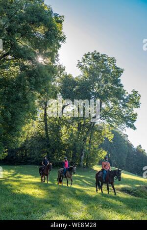 France, Haute Savoie, Mieussy, équitation le long du Giffre de Sommand, dans les prés de Jourdy Banque D'Images