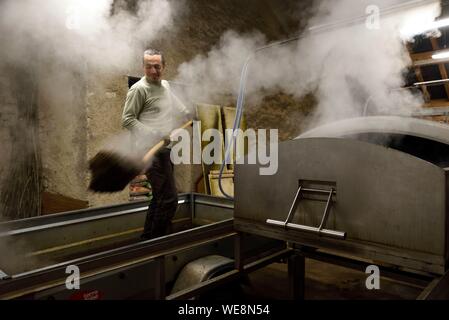 France, Doubs (25), Besancon, Aromacomtois, producteur huiles essentielles de carrières du Jura par distillation, agriculture biologique, Sapin blanc (Abies alba), ouverture de l&# x2019;alambic pour vidange des résidus d&# x2019;aiguilles de sapin Banque D'Images