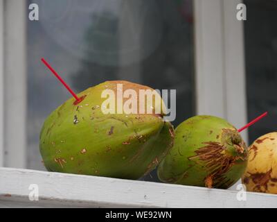 Young fresh coconuts avec paille, prêt à boire Banque D'Images