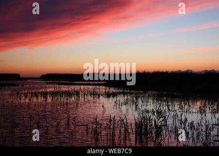 Coucher de soleil Banque D'Images