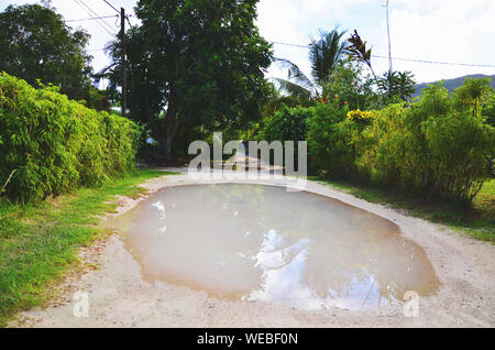 La Digue, Seychelles : d'énormes flaques d'eau après de fortes pluies sur route avec palmiers et végétation luxuriante Banque D'Images