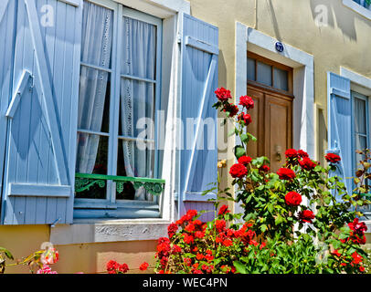 Le Sunny View en face d'une fenêtre avec volets d'une vieille maison de ferme, avec un buisson de fleurs roses et de fleurs qui y poussent de nombreux Banque D'Images