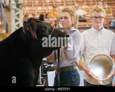 Springfield, Illinois, USA. 13 août 2019. Une jeune femme soulage son champion steer à l'Illinois State Fair Governor's Vente de Champions. Banque D'Images